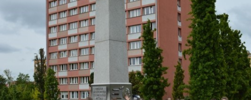 Mikołajek jaki jest, każdy widzi