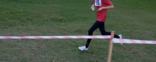 WOJEWÓDZKIE BIEGI PRZEŁAJOWE SZKÓŁ PODSTAWOWYCH