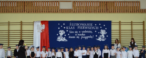 Uroczystość Ślubowania Klas Pierwszych